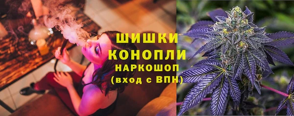 стафф Пролетарск
