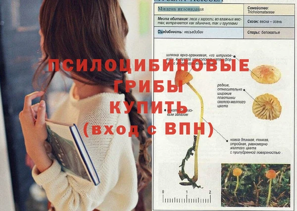 ALPHA-PVP Приозерск