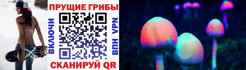 купить наркоту  Кохма  mega ТОР  Псилоцибиновые грибы мухоморы 