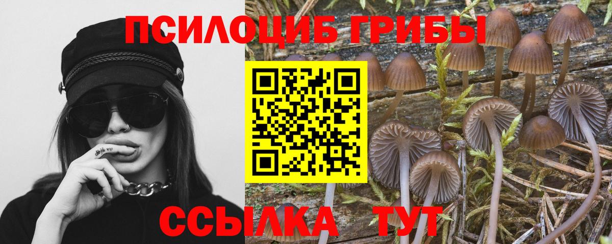 Псилоцибиновые грибы Psilocybine cubensis  Вход с VPN  Галлюциногенные грибы мицелий  Кохма 