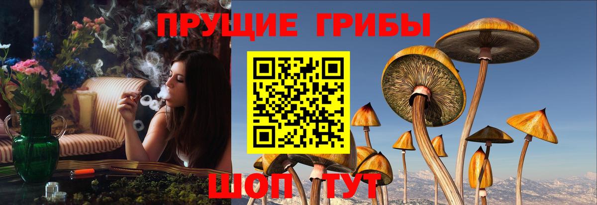 Галлюциногенные грибы Magic Shrooms Кохма